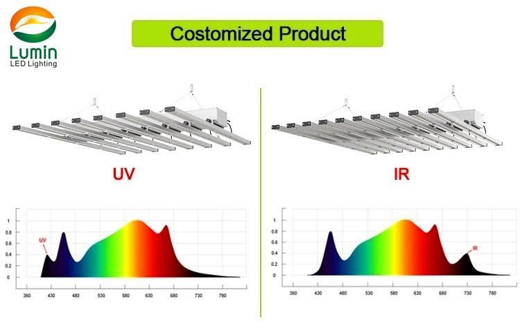 ETL Dimmable 400W 640W 800W Full Spectrum LED Grow Light