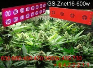 Reflector 600W LED Grow Light Flower Vegetate Switches Full Spectrum Lamp Panel