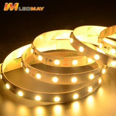 Outdoor Decorative Strip Lighting 5050 60LEDs constant current LED strip 24V