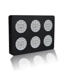 300W LED Grow Lighting for Agricultural Greenhouses Used