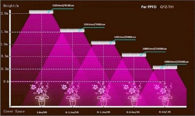 LED T8 Grow Light