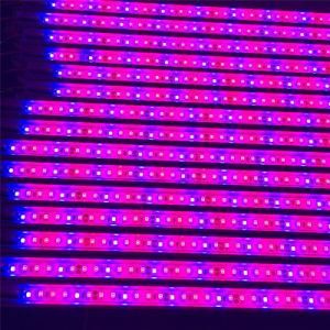 900mm 3FT Waterproof IP65 18W LED Tube Grow Light T8 Plant Lamp for Lettuces