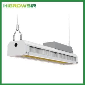 600W Fin LED Grow Light for Indoor Gardening