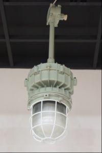 Discharge Explosion-Proof Lamp (PN-FB005)