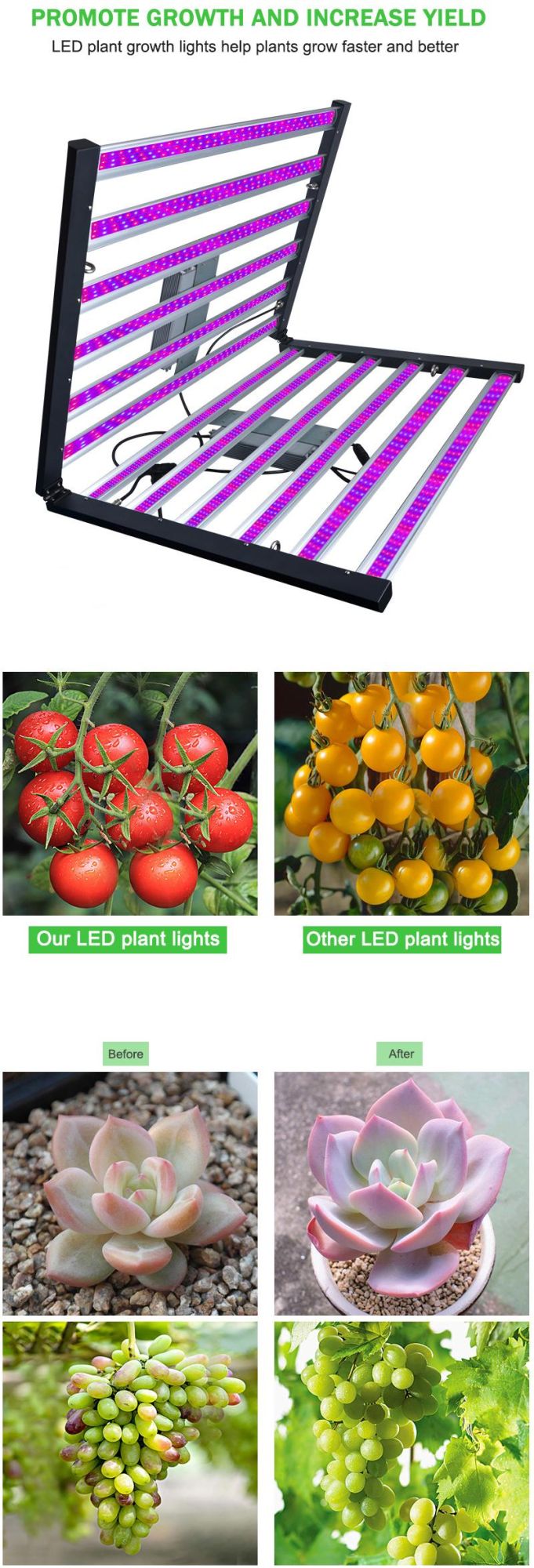 LED Grow Light, Plant Grow Lights for Indoor Plants Full Spectrum 800W LED Growing Lamp