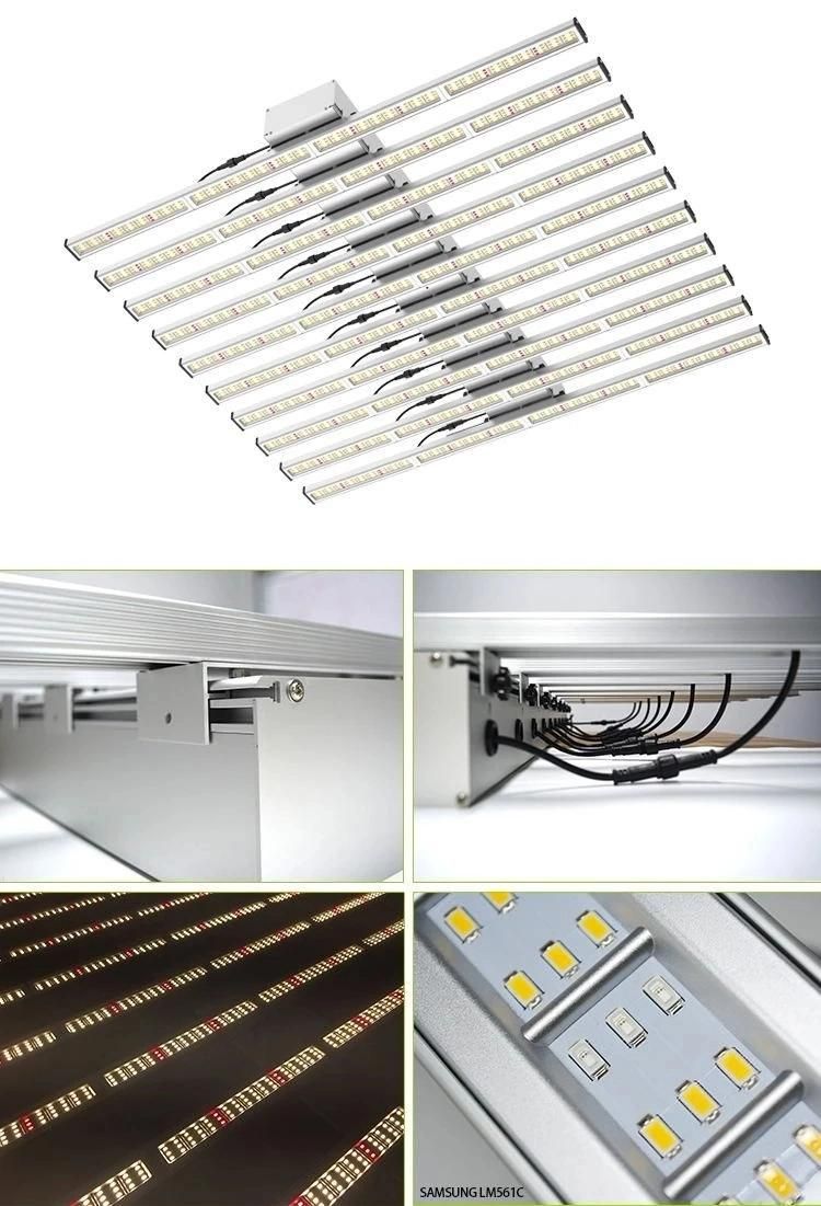 Hot Sale Grow LED Light 600W 800W 1000W