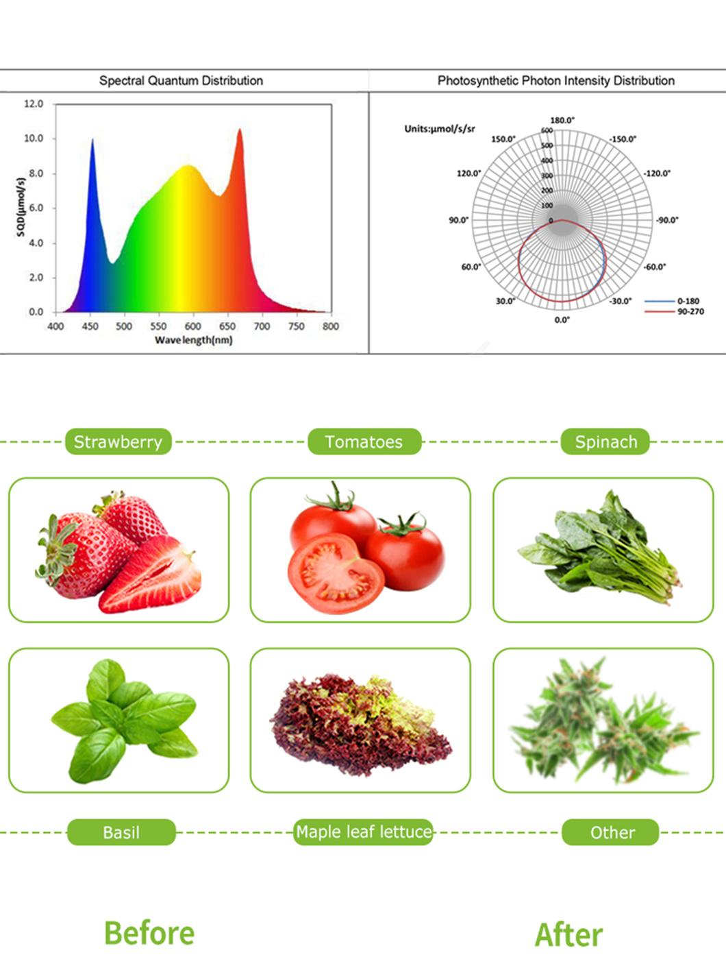 LED Grow Light Driver UVA UVB Grow Light
