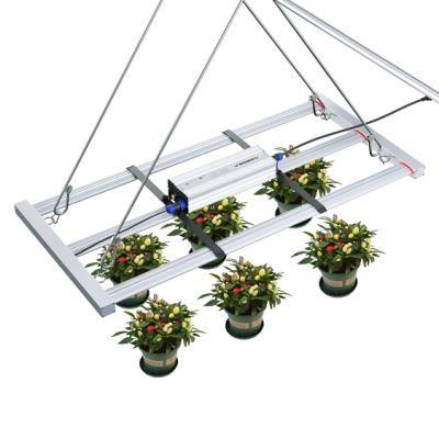 Wholesale 320W Full Spectrum Vertical Farm LED Grow Light for Indoor Plants