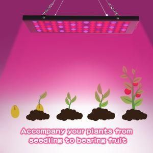 15W SMD3528 AC85~265V LED Hydroponics Lamps for Plant Red+Blue LED Plant Grow Light