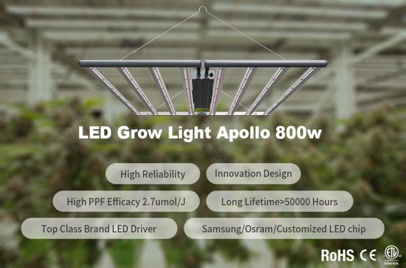 ETL/CE Approved High Quality as Gavita Full Spectrum Commercial LED Grow Light Bulb 8bars 800W for Indoor Plants