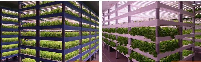 18W High Power Greenhouse LED Green Leaf Plant Growth Light Tube Full Spectrum Plant Fill Light