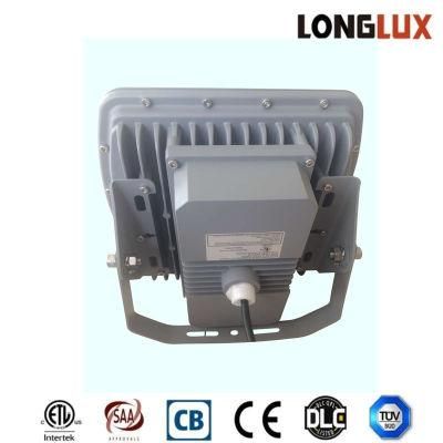 LED Industrial Light Engineering Work Outdoor Flood Lights 100W