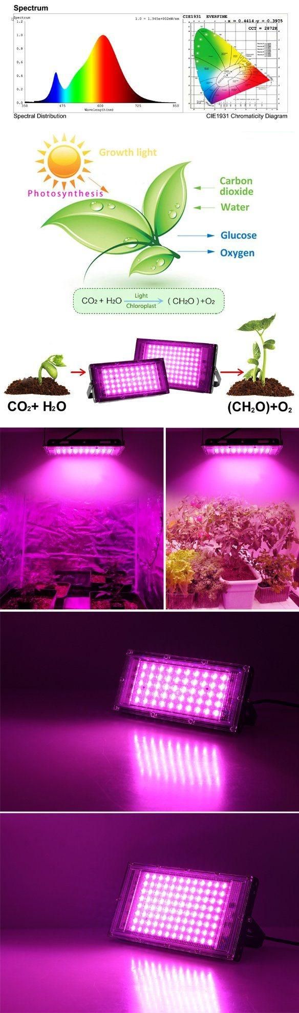 High Effect Greenhouse Grow Lamp COB Horticulture Grow Light 50W 100W Full Spectrum 380-840nm LED Grow Light