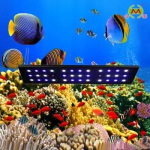 36*3W LED Aquarium Light (HM-A108-36)