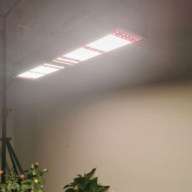 320W Veg/Bloom Top Light LED Grow Light with High PAR Output