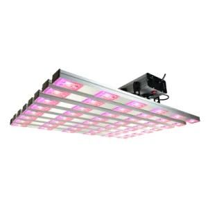 Cheap Samsung ETL Listed Edk48W Full Spectrum Hydroponic Greenhouse Strip Bar LED Grow Light for Microgreens