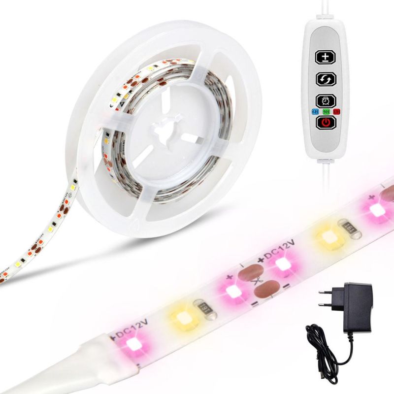 Indoor Plant 12V Grow Light Strip 2835 LED Greenhouse Hydroponic Growing 2m LED Grow Light Full Spectrum