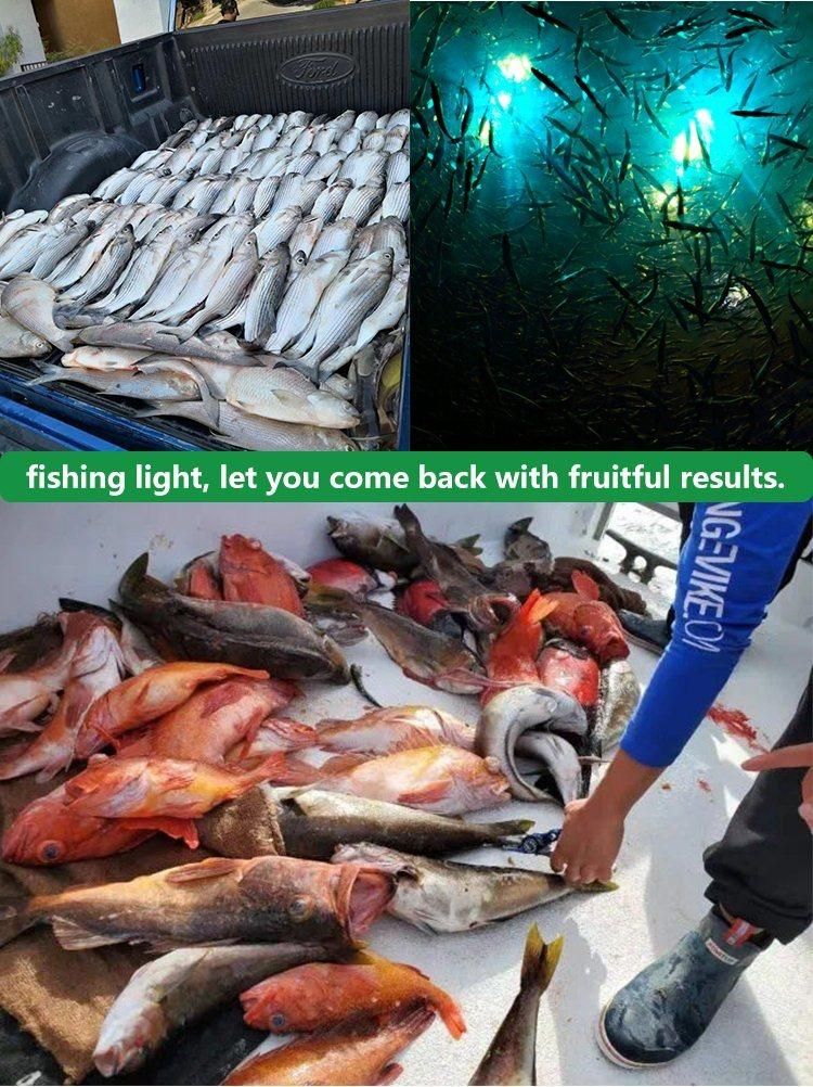 China Hot Sale 12V 300W Underwater Fishing Light 12V-24V LED Lure Bait Finder Night Fishing Light