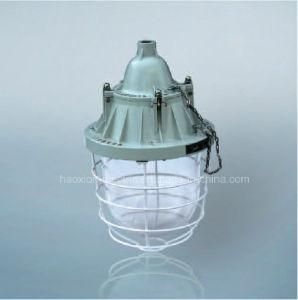 Explosion Proof Light Halogen Light