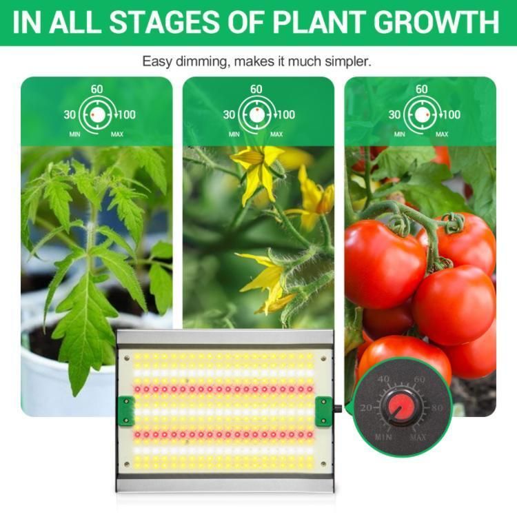 IR UV Llght Board Vertical Farming 120W Qb Full Spectrum IP65 Waterproof Dimmable LED Plant Grow Light Grow Light