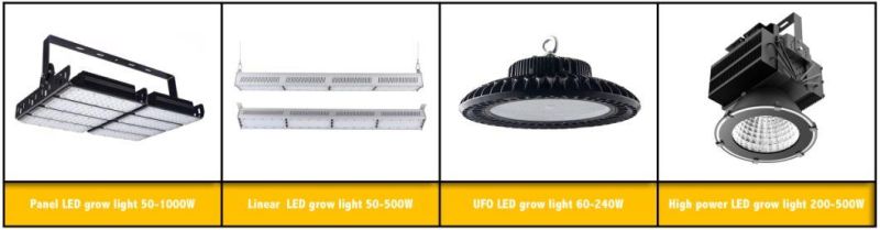 Black Solider Fly Farm Bsf Breeding Insect LED Artificial Light