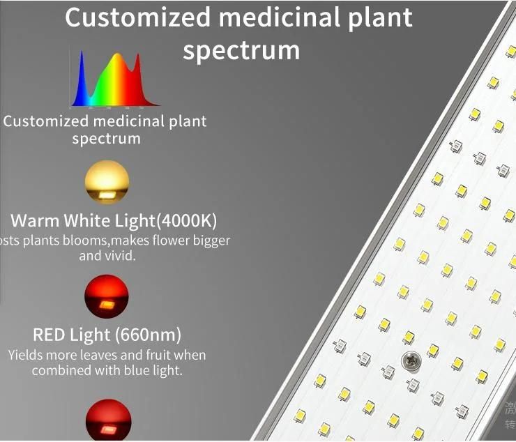 640W High Power Greenhouse LED Green Leaf Plant Growth Light Full Spectrum Plant Fill Light