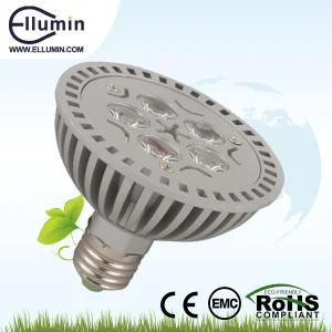 LED PAR 30 Light 5W LED Light