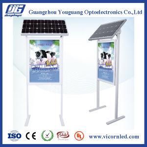Hotsale: Double Side Solar Power LED Light Box- SOL-60
