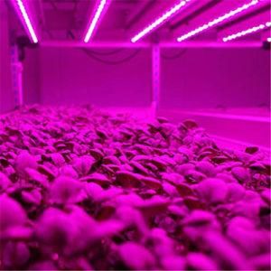 4FT Lm301h LED Grow Light Tubes - 600mm / 900mm / 1200mm/ for Farm and Greenhouse