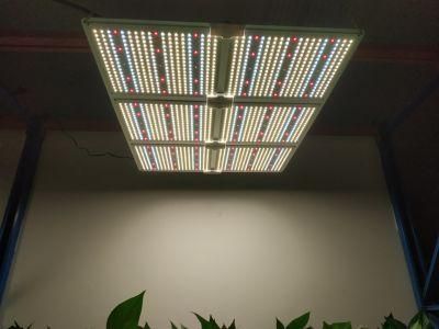 Factory Price Full Spectrum Bloom High PAR Value High 650W Commercial LED Grow Light