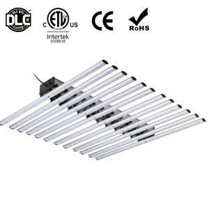 Best COB LED Grow Lights with Full Spectrum Light