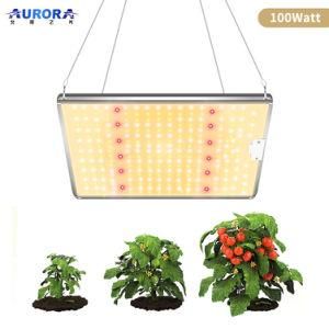 Full Spectrum LED Grow Light 100W Hydroponics Plant Grow Lamp Indoor Grow Light
