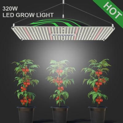 Hydroponic Vertical Farming System Pvisung China LED 320W