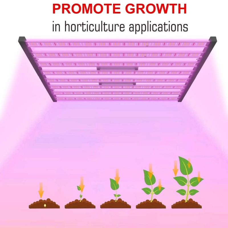 2021 New Arrival LED Plant Growing Light for Indoor Hydroponic