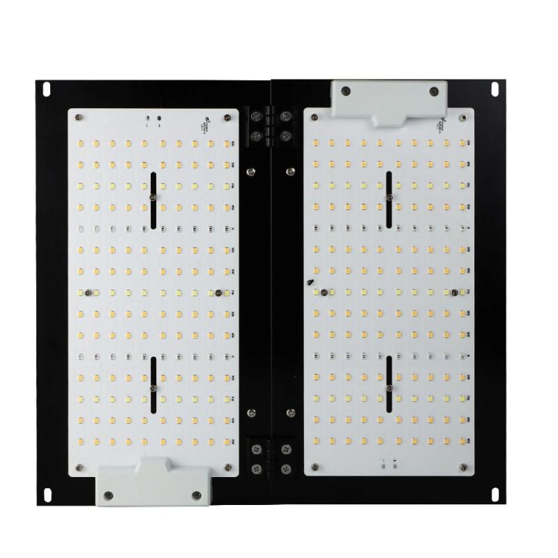 Dimmable Panel Light 240W Quantum Full Spectrum Greenhouse LED Grow Light