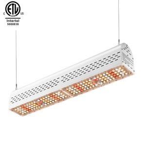 ETL Listed Hydroponic Growing Systems Vegetable LED Grow Lights