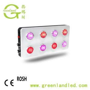 High Quality 900W Ce RoHS Full Spectrum Plant Flower Breed LED Grow Light
