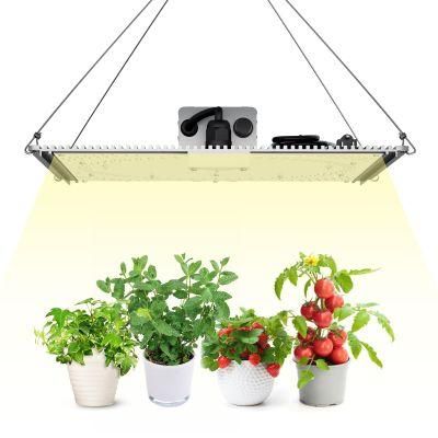 Board Hydroponic 100W 200W 300W LED Grow Panel Light Spectrum