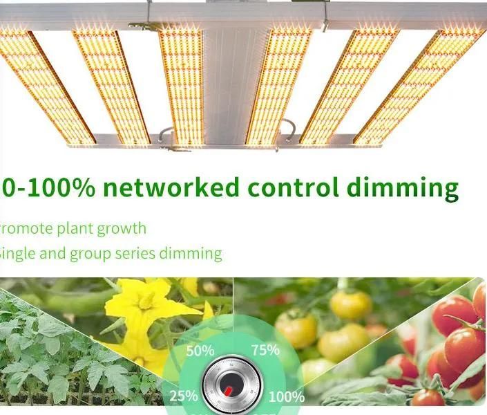640W High Power Greenhouse LED Green Leaf Plant Growth Light Full Spectrum Plant Fill Light