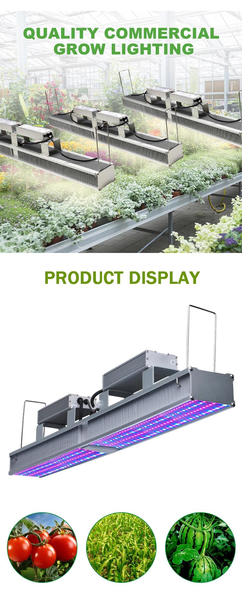 600 Watt Commercial Full Spectrum LED Grow Lights for Greenhouse Plants