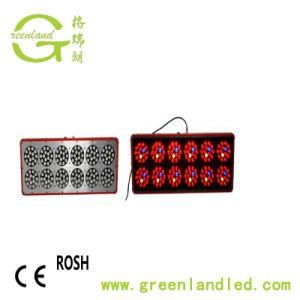 Wholesale Aluminum Alloy 1000W LED Plant Grow Light Horticulture Light for Green House