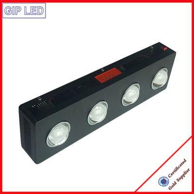 Shenzhen Gold Supplier High Quality Indoor LED COB Grow Light