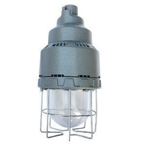 20W 30W 40W Exd Iic T6 Low Bay LED Ex-Proof Light Hazardous Lighting