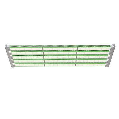Highest Efficacy Customized LED Plant Grow Light Strip Bar for Vertical Farming with 6X6 FT Coverage
