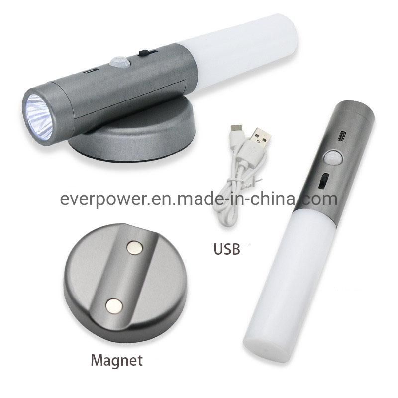 USB Rechargeable Motion Sensor LED Night Light with Magnets (SR030)