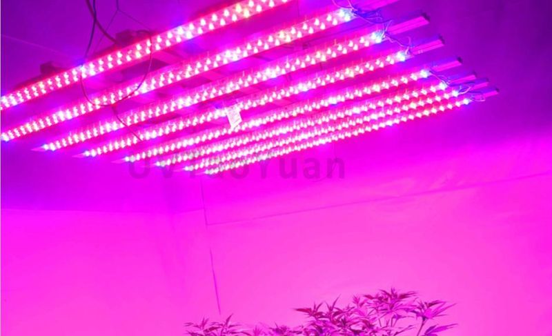 AC220V Greenhouse LED Grow Light 380-840nm 200W Agricultural LED Lamp