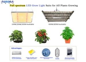 Aurora LED Grow Light Waterproof Zero Noise Grow Lights for Plant