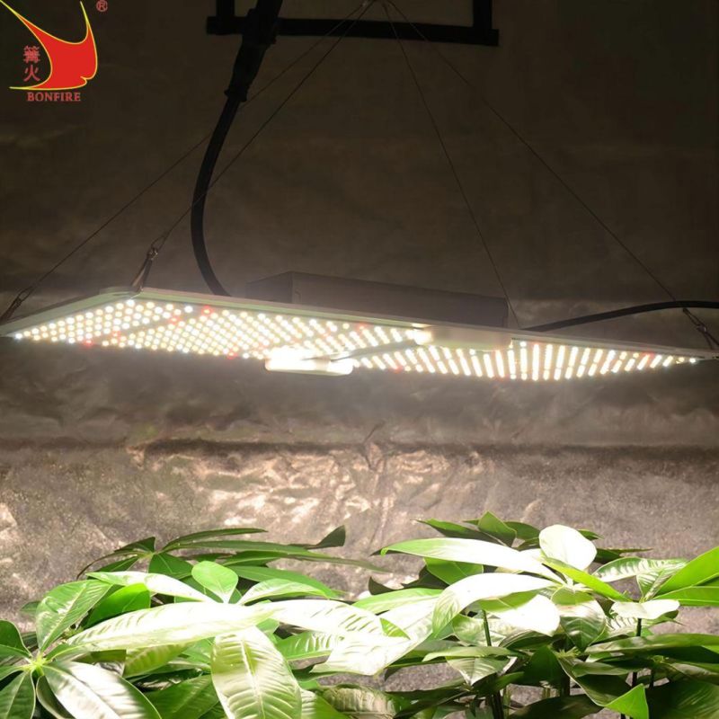 High Pure Aluminum 200W LED Grow Lighting with UL Certifition in The Greenhourse