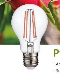 LED Plant Grow Agriculture Horticulture Light 220-240V