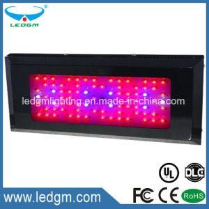 85W 100W LED Plant Light Red Blue Purple Infrared Square Lamp